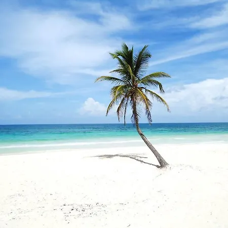 Amoreira 3* Tulum