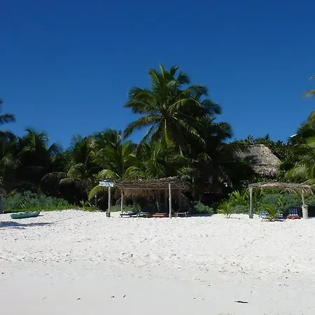Amoreira Tulum