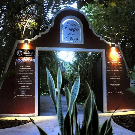 Casa Don Diego Tulum
