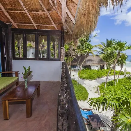Hotel Mestizo Boutique 4*