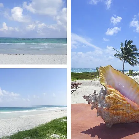 Retiro Maya Tulum