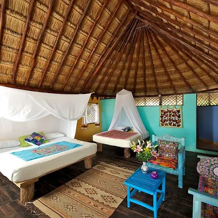 Hemingway Romantic Eco