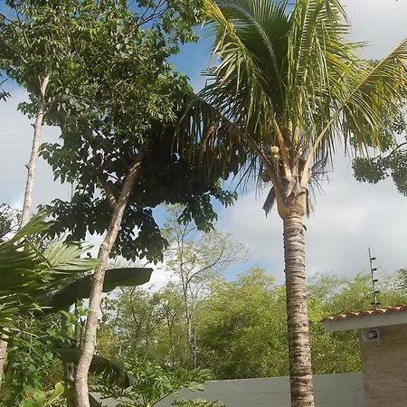 Casa De Sanchez