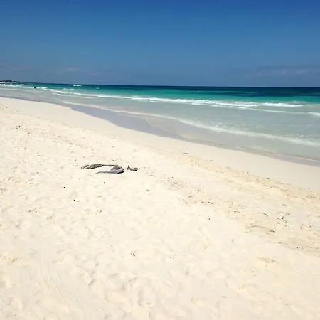 Hotel La Eufemia Tulum