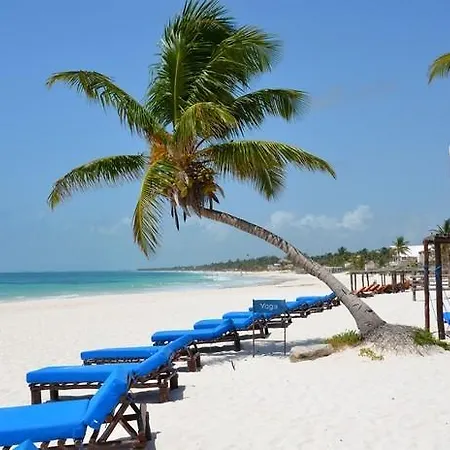 Hotel Hemingway Romantic Eco 4*