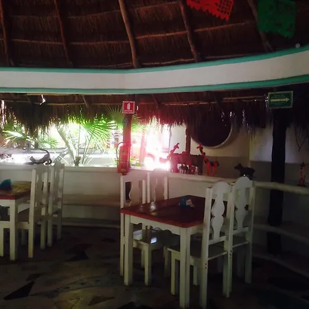 Campsite Turquesa Jungle Camping Tulum
