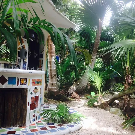 Turquesa Jungle Camping