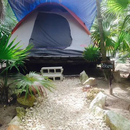 Turquesa Jungle Camping Tulum
