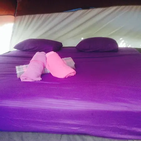 Campsite Turquesa Jungle Camping *