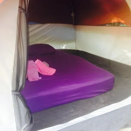 Turquesa Jungle Camping