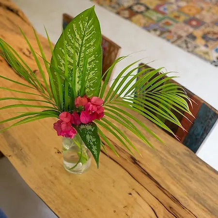Holiday home Casa Mandala Tulum