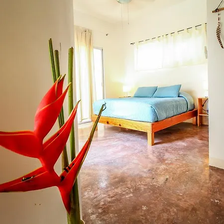 Apartment Villas Colibri *