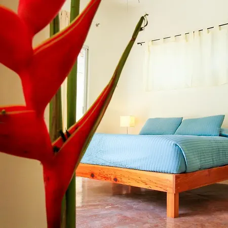 Villas Colibri Tulum
