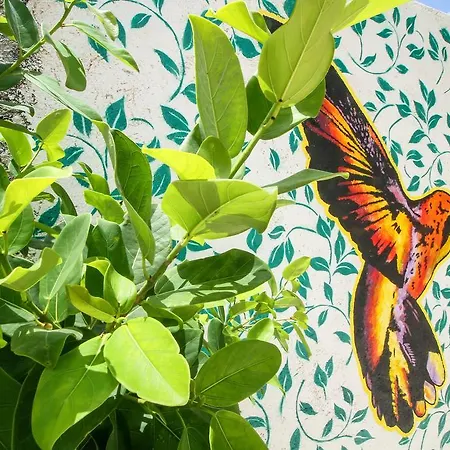 Villas Colibri