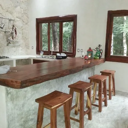 Ganesh Jungle House By Kvr Tulum