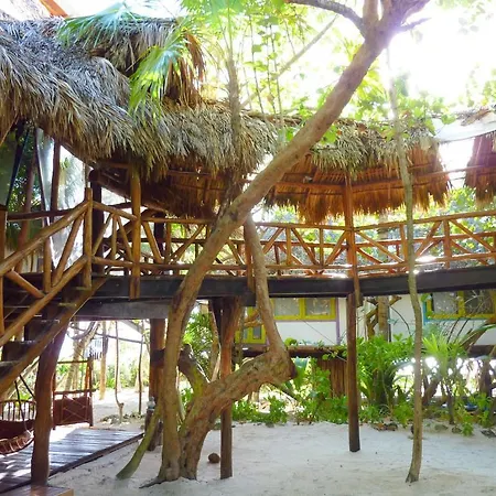 Amoreira Tulum