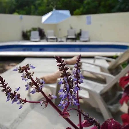 Akalan 4* Tulum
