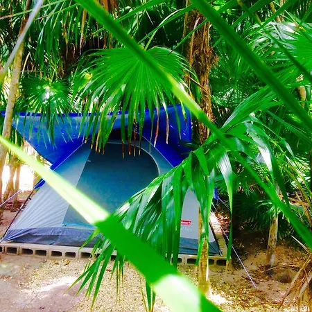 Campsite Turquesa Jungle Camping