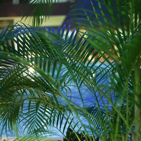 Artist's Pool House Tulum