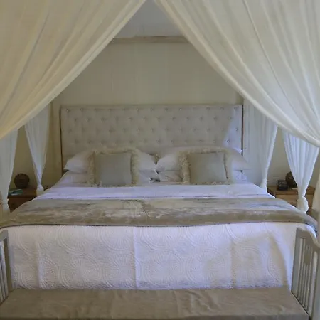 Artist's Pool House Tulum