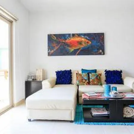 Mariposa Azul In Aldea Zama