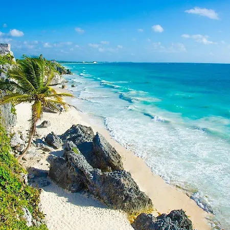 Apartment Mariposa Azul In Aldea Zama Tulum