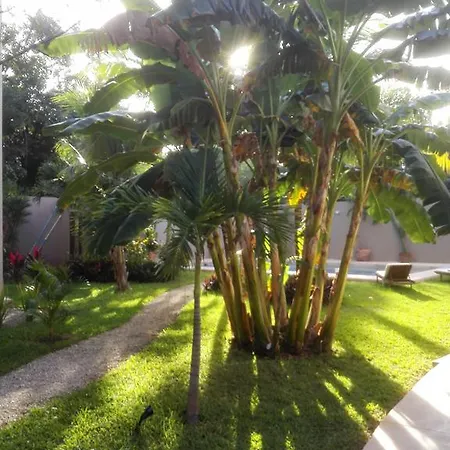 Cozy And Pool Tulum