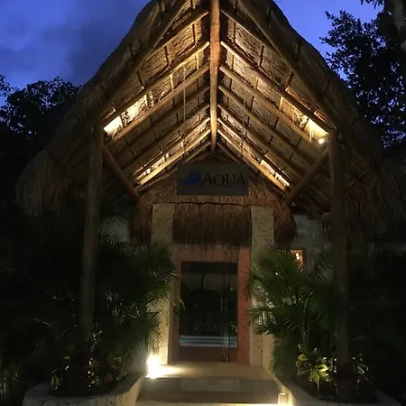 Artist's Pool House Apartment Tulum