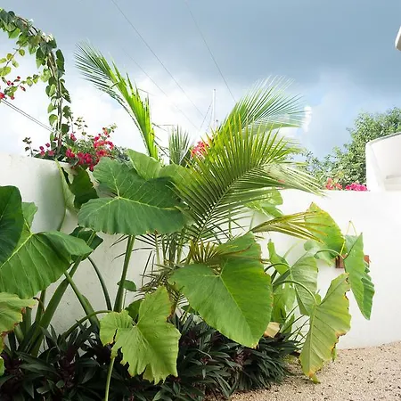 La Posta Guest house *