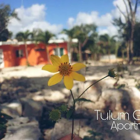 Gardens 2 * Tulum