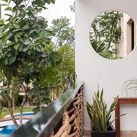 Apartment Encanto 202 *