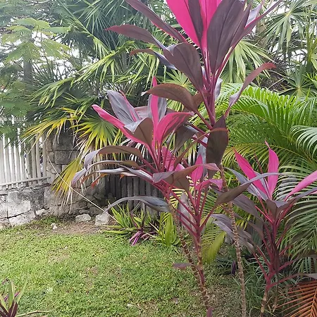 Apartment Villas House Tulum