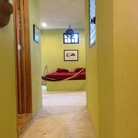 Divetulum *