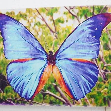 Mariposa Azul In Aldea Zama Apartment