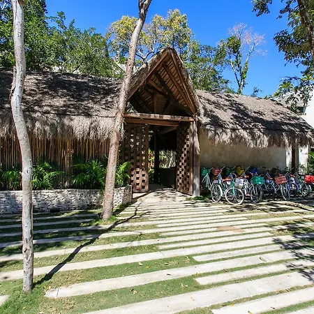 Apartamento Eco-chic Design Wrapped In Nature's Elements By Stella Tulum
