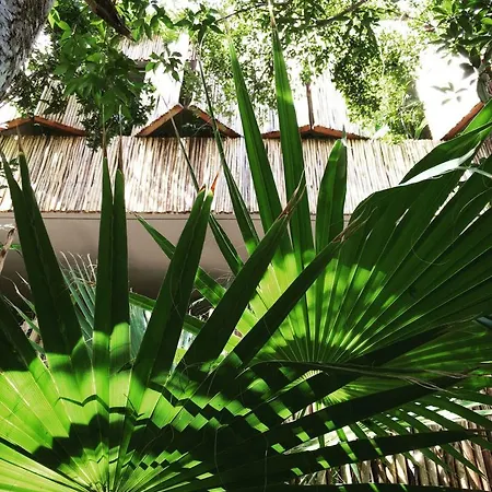Artiacondos * Tulum