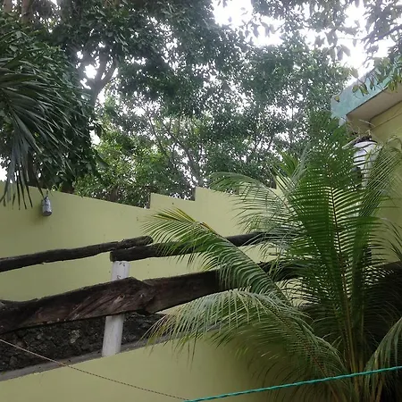 Divetulum