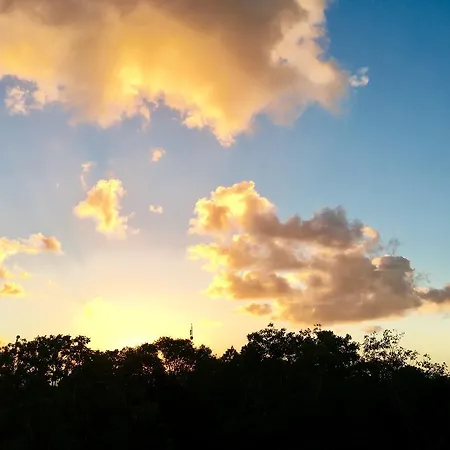 Jungle Flat Penthouse * Tulum