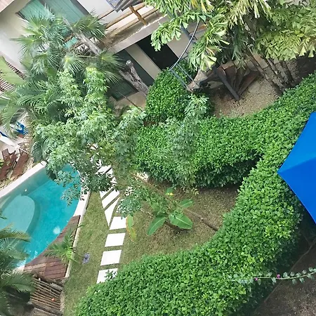 Apartment Jungle Flat Penthouse *