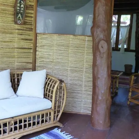 Amoreira Tulum