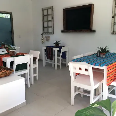 Jungle Flat Penthouse * Tulum