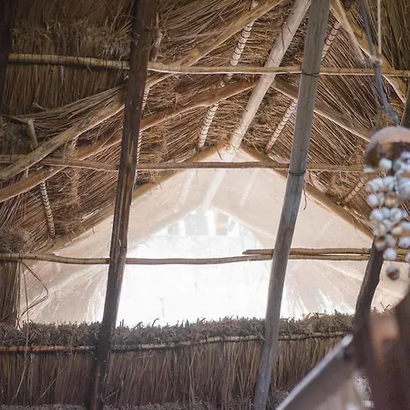 Hostel Chill Tulum