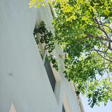 Bruna Apartment