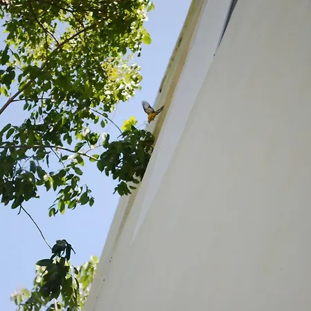 Apartment Bruna *