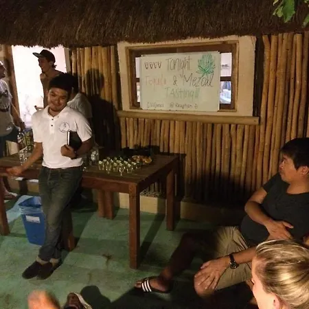 Chill Hostel *