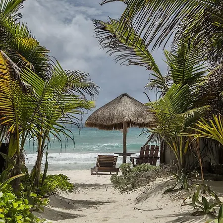 Amoreira Hotel Tulum