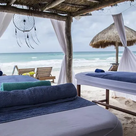 Amoreira Tulum