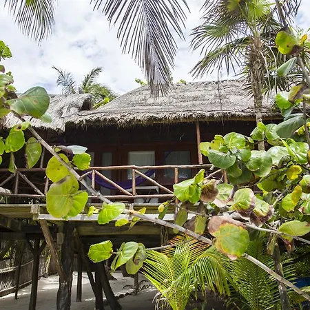 Amoreira Tulum