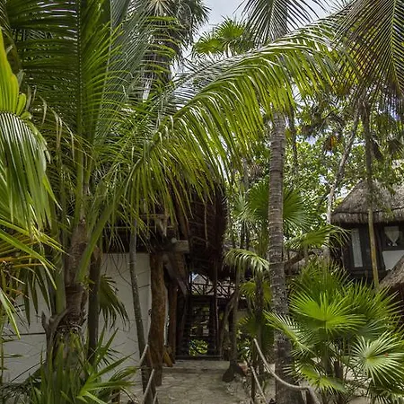 Amoreira Hotel Tulum