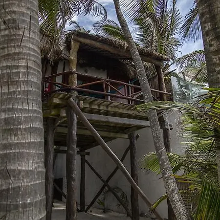 Amoreira Tulum